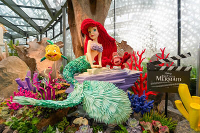 Ornamen flora "The Little Mermaid" di Disney Garden of Wonder, menampilkan (dari kiri) karakter-karakter Flounder, Ariel, dan Sebastian yang terbuat dari tanaman yang telah diawetkan dalam berbagai warna dan tekstur.