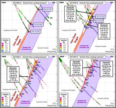 Figure3: Cross-sections across the Lion Zone. A to D, from west to east, looking eastward. Sections are vertical and 100m apart, with a +/- 50m view corridor. (CNW Group/Power Nickel Inc.)