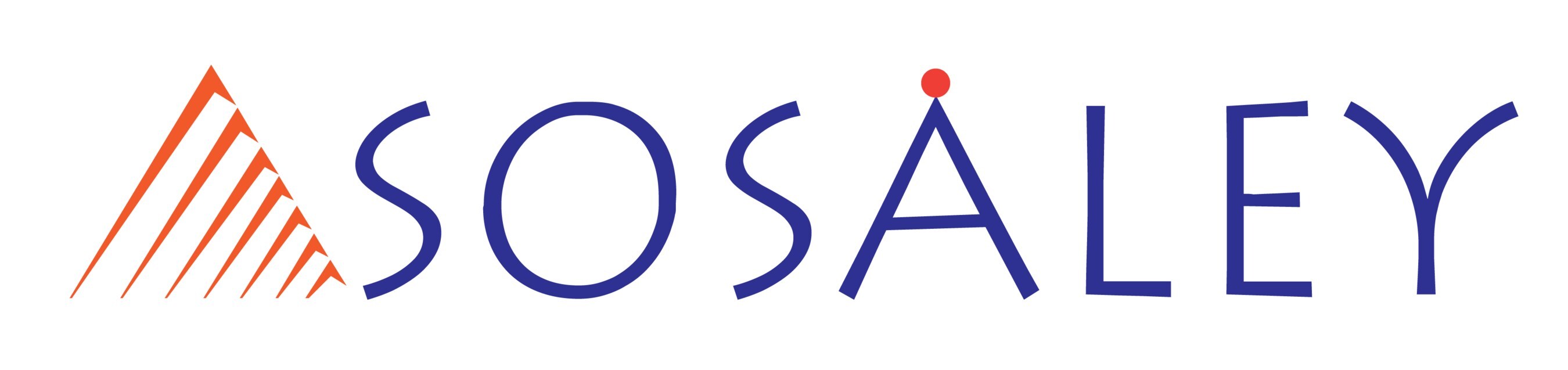 Sosaley Technologies Logo