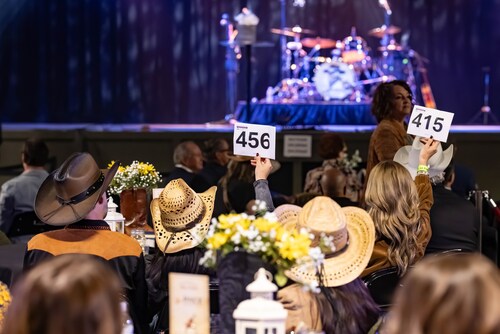 Auction at Great Hearts Gala