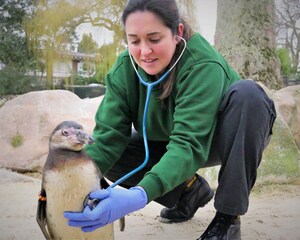 Shaping the Future of Veterinary Medicine: VMX 2025 to Advance Health Care for Beloved Pets, Wildlife and Species Across the Animal Kingdom - from Dogs and Cats to Kangaroos and Honey Bees