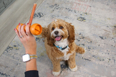 When Charlie the Cavapoo sees his Bow Wow Buddy, he knows it’s time for a treat.