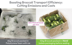 StePacPPC Creates a Greener Route for Broccoli