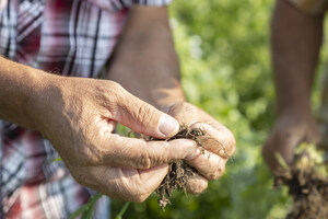 NUTRO™ Brand Announces Winners of Annual Soil Growth Grant Supporting Farmers Implementing Healthy Soil Practices