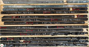 Canada Nickel Announces Assay Results from Second High Grade Sulphide Intersection at Bannockburn Project