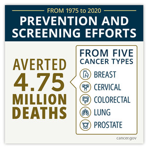 In five cancer types, prevention and screening have been major contributors to saving lives