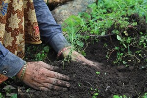 Waytek Announces Funding of Additional 3,000 Trees with Eden: People+Planet