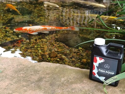 Ounce of Hope fish poop in front of fish pond