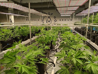 Wide view of Ounce of Hope indoor aquaponic cannabis farm featuring Memphis Grown Ounce of Hope logo