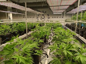 Aquaponic Cannabis Company, Ounce of Hope, Announces Efforts to Give Back