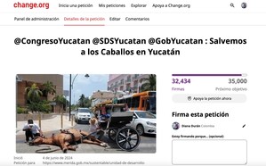 ¡Victoria histórica! México consagra la protección animal en su Constitución. ¿Se abre camino para poner fin al maltrato equino en Yucatán?