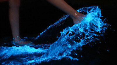 Step into a World of Living Light