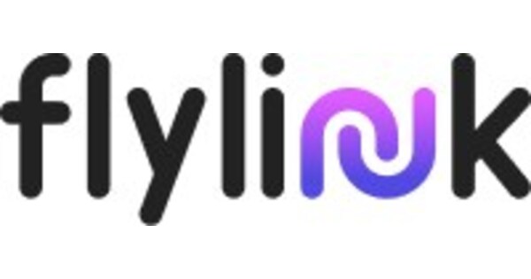 What FlyLink Ensures for Consumers: Shop Confidently and Pay Safely Online