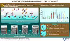 Chungnam National University Researchers Uncover Breakthrough in Copper-Zinc Electrodes for Electrochemical CO₂ Reduction