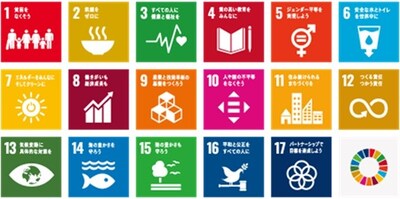 The 17 SDGs