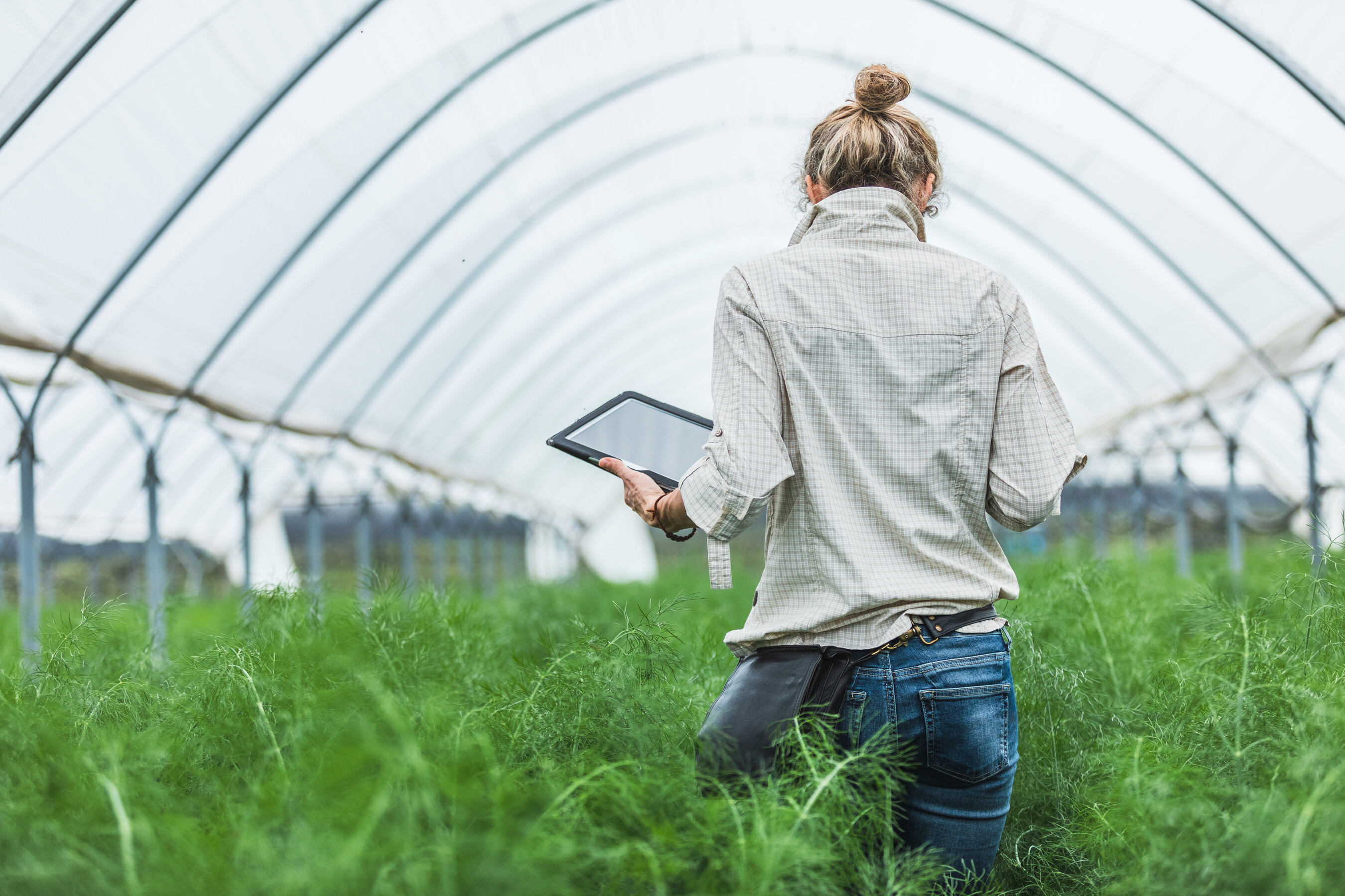 Sopra Steria verstärkt sein Umweltengagement durch die Finanzierung von zwei Greentech-Start-ups über ein nachhaltigkeitsgebundenes Darlehen