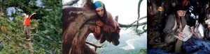 World Renowned Tree-Sitter Julia Butterfly Hill Returns to Celebrate 25th Anniversary of Record Breaking Historic Action