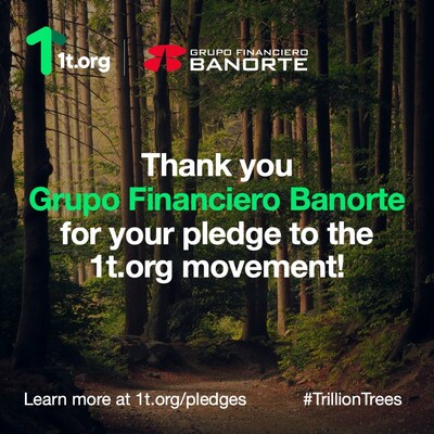 GRUPO FINANCIERO BANORTE WILL DRIVE THE GROWTH OF ONE MILLION TREES BY 2030: CARLOS HANK-GONZÁLEZ