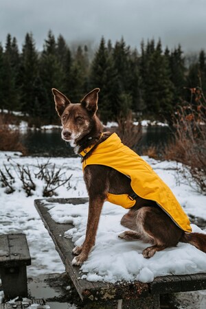 ororo® Launches First Heated Dog Apparel with The Koldpwoof Heated Dog Vest