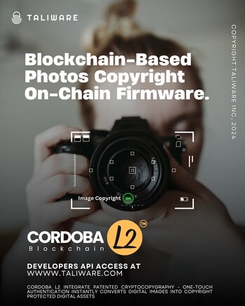 Blockchain-Based Photos Copyright On-Chain Firmware