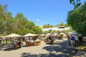 This year, for the first time, the district is offering single-day passes for two exciting events: the Saturday Taste of the Neighborhood walk-around tasting and luncheon. Photo by Bob McClenahan