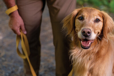 New Year, New Goals for People and Pets