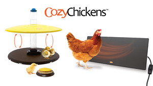 Cozy Chickens: Keeping Your Flock Healthy, Safe, and Comfortable