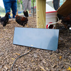 Cozy Chickens Coop Heating Panel