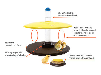 Brooder Habitat Plus features