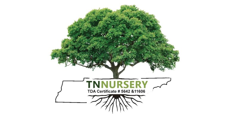 TN Nursery Coupons and Promo Code