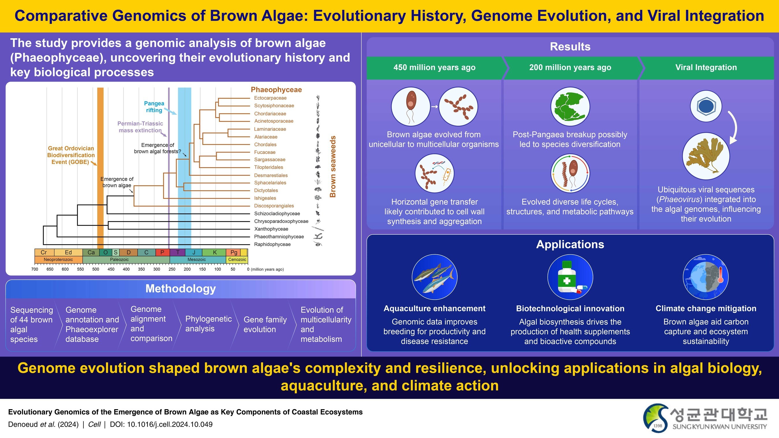 Sungkyunkwan University Study Reveals the Hidden Genomic Evolution of Brown Algae