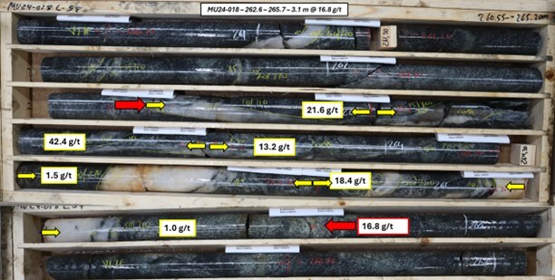 Figure 5. Photograph of core from MU24-018 (16.8 g/t gold over 3.10 m (ETW 0.80 m). (CNW Group/Mandalay Resources Corporation) Figure 5. Photograph of core from MU24-018 (16.8 g/t gold over 3.10 m (ETW 0.80 m). (CNW Group/Mandalay Resources Corporation)