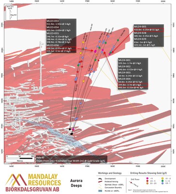 Figure 6. Plan section of the Aurora Deeps Extension drilling. Intercepts above 0.5 g/t Au when diluted to 1 m are denoted by dots. Drillholes are annotated with composites over 2.0 g/t Au when diluted to 1 m. (CNW Group/Mandalay Resources Corporation)