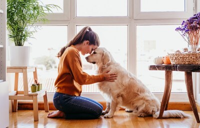 Image contains a female kneeling and hugging a cream golden retriever. Highlighting the human animal bond