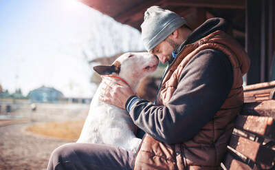 Man sitting on the bench with his dog and sharing moments of  love, happiness and  joy with his bull terrier. Human Animal Bond