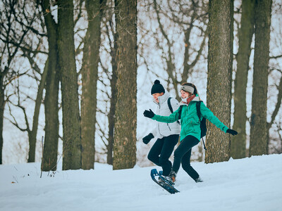 Une invitation à renouer avec la nature au cœur des îles - Le parc Jean-Drapeau dévoile sa programmation hivernale