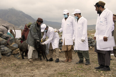 <div>IFAD's Crisis Response Initiative strengthens food security for over 175,000 rural Afghan families amid challenges</div>