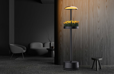 LG's indoor gardening appliance boasts two types of functional and aesthetically-pleasing lighting: downward-facing lights with five intensity levels to support optimal plant growth during the day, and upward-facing mood lighting to create a cozy, calming ambiance in the evening.