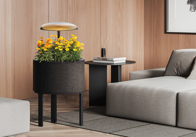 Along with the “floor-standing lamp” model, LG will reveal a new indoor gardening appliance featuring a nature-inspired side table design at CES 2025.