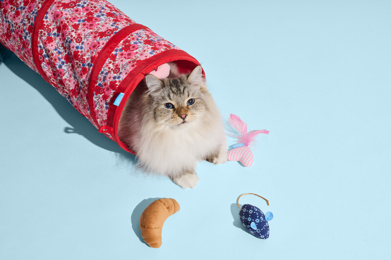 Unable to view the image, Please provide a valid URL.