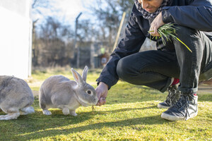 New Research to Examine Role of Small Pets on Human Wellbeing