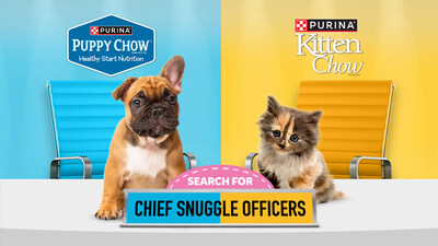 Purina Puppy and Kitten Chow are recruiting adorable pets to join their “C-Suite” as the brands’ first Chief Snuggle Officers. The new position offers a hefty $25,000 “salary” each to one kitten and one puppy, and a $25,000 donation to an animal shelter chosen by contest voters.