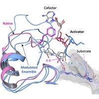 CCM Biosciences Scientists Discover First-in-Class Longevity Therapeutics