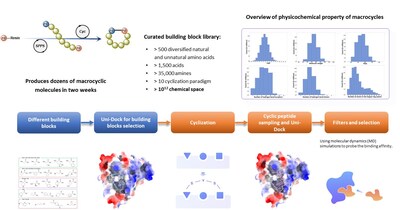 Fig. 2 The workflow of the Cyclic Peptide Screening Process Based on the RiDYMO® Platform