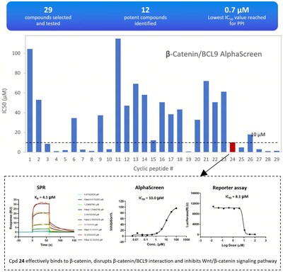 Fig. 3 Experimental Results of 29 Cyclic Peptide Molecules