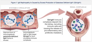 Biohaven Highlights Portfolio Progress, Innovation, and Anticipated Milestones at the 43rd Annual J.P. Morgan Healthcare Conference; Reports Positive Degrader Data with Rapid, Deep, and Selective Lowering of Galactose-Deficient IgA1 with Next Generation Potential Therapy for IgA Nephropathy