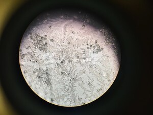 Lady Technologies, Inc. Creators of kegg, has Secured $6.5 million in Series A to put Cervical Mucus at the Forefront of Women's Health and Build a Vaginal Health Platform