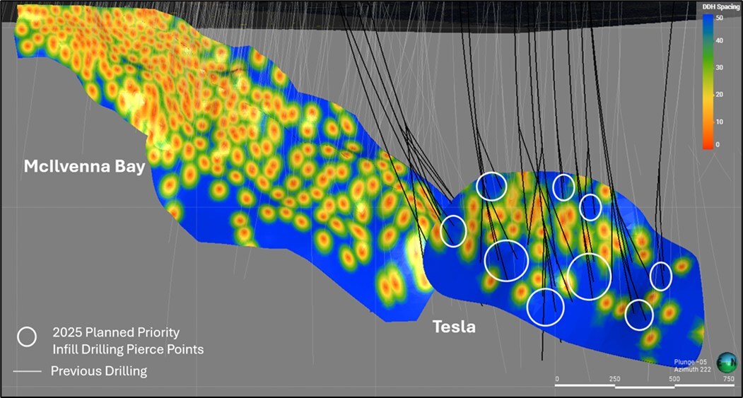Figure 1 – Longitudinal cross section across the McIlvenna Bay Deposit and the adjacent Bridge and Tesla Zones showing the current density of drilling (pale grey traces), along with the target areas (white circles) and the planned drill holes (black Traces) for the winter 2025 program (CNW Group/Foran Mining Corporation)