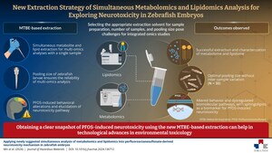 SeoulTech Researchers Propose a Novel Method to Shed Light on PFOS-Induced Neurotoxicity