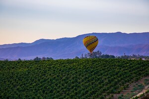 Visit Temecula Valley Announces 2025 Board of Directors, Welcomes New Members